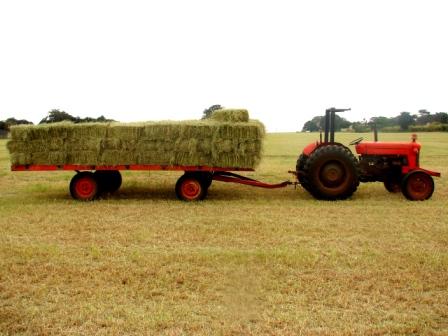 Campo de Feno Pirassununga Estância Montagner